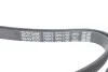 Ремень поликлиновый(приводной) DAYCO 5PK1790 (фото 4)