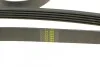 Ремень поликлиновый(приводной) DAYCO 5PK2060 (фото 4)