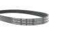 Ремень поликлиновый(приводной) DAYCO 5PK716EE (фото 4)