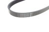Ремень генератора поликлиновый DAYCO 5PK875 (фото 3)