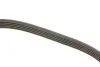 Ремень поликлиновый(приводной) DAYCO 5PK990 (фото 3)