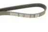 Ремень поликлиновый(приводной) DAYCO 5PK990 (фото 5)