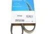 Ремень поликлиновый(приводной) DAYCO 5PK990 (фото 6)