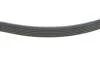 Ремень поликлиновый(приводной) DAYCO 6PK1027EE (фото 3)