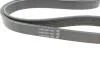 Ремень генератора поликлиновый DAYCO 6PK1033EE (фото 2)