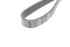 Ремень генератора поликлиновый DAYCO 6PK1033EE (фото 3)