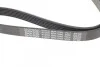 Ремень поликлиновый(приводной) DAYCO 6PK1040 (фото 4)