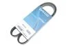 Ремень поликлиновый(приводной) DAYCO 6PK1073K (фото 2)