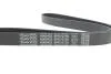 Ремень поликлиновый(приводной) DAYCO 6PK1073K (фото 4)