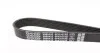 Ремень поликлиновый(приводной) DAYCO 6PK1073S (фото 2)