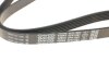 Ремень поликлиновый(приводной) DAYCO 6PK1087 (фото 2)