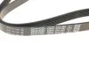 Ремінь поліклиновий DAYCO 6PK1087 (фото 2)