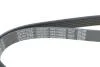 Ремень поликлиновый(приводной) DAYCO 6PK1090EE (фото 4)