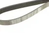 Ремень генератора поликлиновый DAYCO 6PK1115 (фото 4)