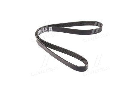 Ремень поликлиновый(приводной) DAYCO 6PK1117S