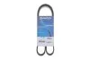 Доріжковий пас DAYCO 6PK1139H (фото 2)