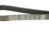 Ремень генератора поликлиновый DAYCO 6PK1145 (фото 4)