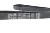 Ремень поликлиновый(приводной) DAYCO 6PK1225 (фото 4)