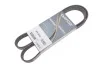 Ремень поликлиновый(приводной) DAYCO 6PK1250HD (фото 2)