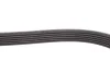 Ремень поликлиновый(приводной) DAYCO 6PK1250HD (фото 3)