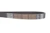 Ремень поликлиновый(приводной) DAYCO 6PK1250HD (фото 4)
