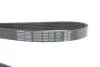 Ремень поликлиновый(приводной) DAYCO 6PK1341 (фото 4)