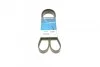 Ремень генератора поликлиновый DAYCO 6PK1355