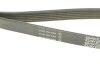 Ремень генератора поликлиновый DAYCO 6PK1360S (фото 3)
