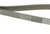 Ремень генератора поликлиновый DAYCO 6PK1360S (фото 3)