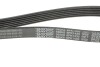 Ремень генератора поликлиновый DAYCO 6PK1435 (фото 2)