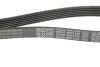 Ремень генератора поликлиновый DAYCO 6PK1435 (фото 2)