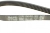 Ремень генератора поликлиновый DAYCO 6PK1437 (фото 4)