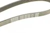 Ремень генератора поликлиновый DAYCO 6PK1462 (фото 4)