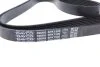 Ремень генератора поликлиновый DAYCO 6PK1500 (фото 2)