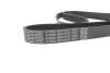 Ремень поликлиновый(приводной) DAYCO 6PK1570 (фото 4)