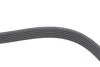 Ремень поликлиновый(приводной) DAYCO 6PK1606 (фото 3)