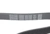 Ремень поликлиновый(приводной) DAYCO 6PK1606 (фото 4)