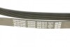 Ремень генератора поликлиновый DAYCO 6PK1613 (фото 4)