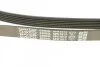 Ремень генератора поликлиновый DAYCO 6PK1613 (фото 4)