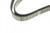 Ремень генератора поликлиновый DAYCO 6PK1815 (фото 4)
