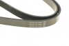 Ремень генератора поликлиновый DAYCO 6PK1815 (фото 5)