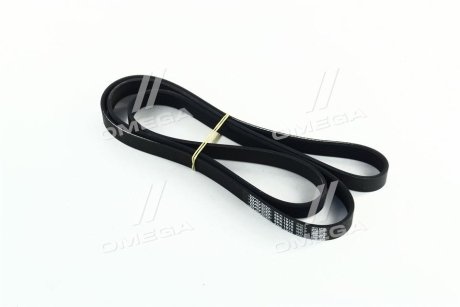 Ремень поликлиновый(приводной) DAYCO 6PK1875