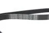 Ремень поликлиновый(приводной) DAYCO 6PK2063 (фото 4)