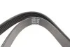 Ремень поликлиновый(приводной) DAYCO 6PK2070 (фото 2)