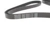 Ремень поликлиновый(приводной) DAYCO 6PK2115 (фото 4)