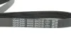 Ремень генератора поликлиновый DAYCO 6PK2135 (фото 2)