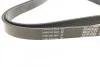 Ремень поликлиновый(приводной) DAYCO 6PK2155S (фото 2)