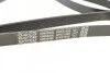 Ремень поликлиновый(приводной) DAYCO 6PK2155S (фото 3)