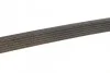 Ремень поликлиновый(приводной) DAYCO 6PK2155S (фото 4)
