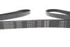 Ремень поликлиновый(приводной) DAYCO 6PK2175 (фото 4)